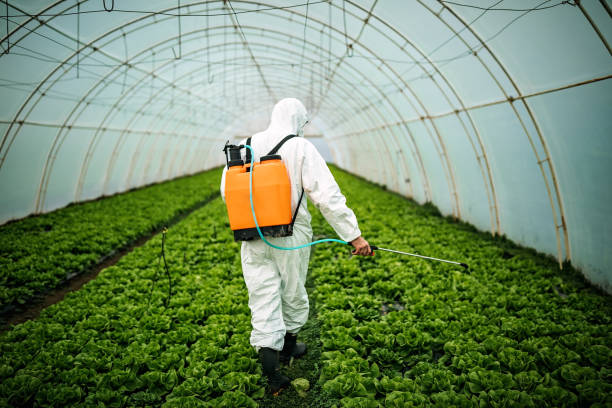 Professional Pest Control in Carmel By The Sea, CA