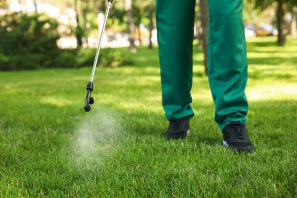 Wasp Removal Services in Carmel By The Sea, CA
