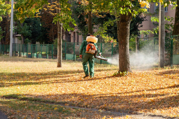 Pest Prevention Services in Carmel By The Sea, CA