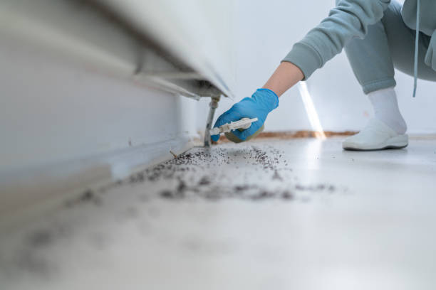 Best Pest Prevention Services  in Rmel By The Sea, CA